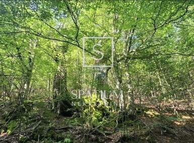 Zemljiste, Mrkopalj, prodaja, 45300 €, 15093 m2
