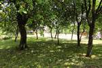 Kuca, Ogulin, prodaja, 130000 €, 140 m2