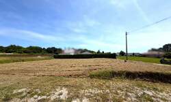 Zemljiste, Barban, prodaja, 50000 €, 600 m2