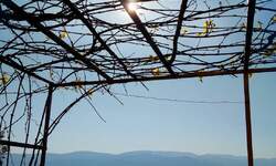 Kuca, Labin, prodaja, 1100000 €, 439 m2