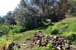 Kuca, Labin, prodaja, 1100000 €, 439 m2