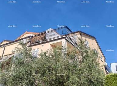 Jednosoban stan, Poreč, prodaja, 225000 €, 65 m2