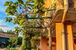 Kuca, Buzet, Hum, prodaja, 365000 €, 400 m2