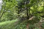 Zemljiste, Delnice, prodaja, 90000 €, 8714 m2