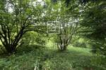 Zemljiste, Delnice, prodaja, 90000 €, 8714 m2