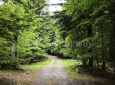 Zemljiste, Vrbovsko, Lukovdol, prodaja, 127000 €, 31176 m2