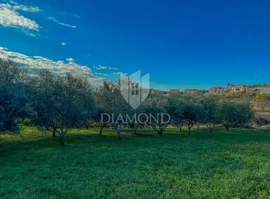 Zemljiste, Vižinada, prodaja, 173000 €, 1240 m2