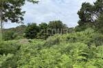 Zemljiste, Rab, Lopar, prodaja, 788000 €, 2389 m2