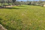 Zemljiste, Umag, prodaja, 206000 €, 0 m2