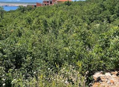 Zemljiste, Crikvenica, Jadranovo, prodaja, 527200 €, 1318 m2