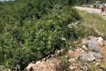 Zemljiste, Crikvenica, Jadranovo, prodaja, 527200 €, 1318 m2