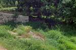 Zemljiste, Brtonigla, prodaja, 92500 €, 0 m2