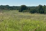 Zemljiste, Barban, prodaja, 400000 €, 0 m2