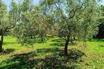 Zemljiste, Peroj, prodaja, 309000 €, 0 m2