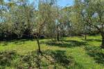 Zemljiste, Peroj, prodaja, 309000 €, 0 m2