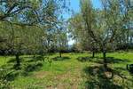 Zemljiste, Peroj, prodaja, 309000 €, 0 m2
