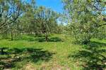 Zemljiste, Peroj, prodaja, 309000 €, 0 m2