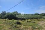 Zemljiste, Marčana, Divšići, prodaja, 61000 €, 686 m2