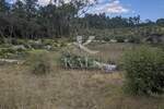 Zemljiste, Marčana, Filipana, prodaja, 235000 €, 20392 m2