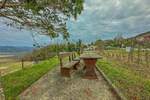 Zemljiste, Motovun, prodaja, 166000 €, 697 m2