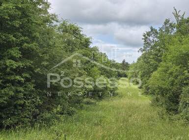 Zemljiste, Buzet, Roč, prodaja, 19550 €, 11195 m2
