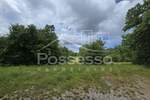 Zemljiste, Buzet, Roč, prodaja, 19550 €, 11195 m2