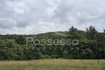 Zemljiste, Buzet, Roč, prodaja, 19550 €, 11195 m2