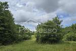 Zemljiste, Buzet, Roč, prodaja, 19550 €, 11195 m2