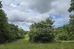 Zemljiste, Buzet, Roč, prodaja, 19550 €, 11195 m2