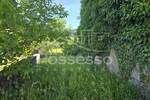 Kuca, Buzet, Ročko Polje, prodaja, 54000 €, 86 m2