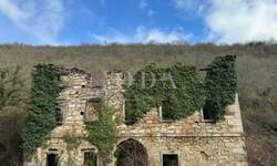 Kuca, Buzet, prodaja, 156000 €, 300 m2