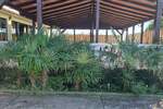 Kuca, Umag, prodaja, 1850000 €, 600 m2