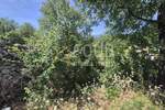 Zemljiste, Bakar, Krasica, prodaja, 380000 €, 2063 m2