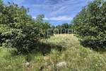 Kuca, Bakar, Krasica, prodaja, 550000 €, 66 m2
