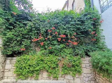 Kuca, Medulin, prodaja, 168000 €, 147 m2