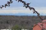 Zemljiste, Brtonigla, prodaja, 515000 €, 0 m2