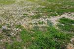 Zemljiste, Novi Vinodolski, prodaja, 470000 €, 1936 m2