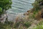Zemljiste, Mali Lošinj, Ustrine, prodaja, 107000 €, 1300 m2