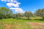 Zemljiste, Vodnjan, prodaja, 115000 €, 1077 m2