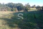 Zemljiste, Žminj, prodaja, 40000 €, 18486 m2