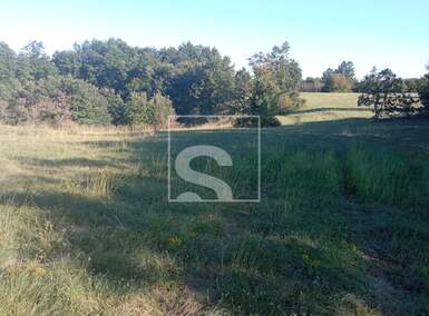 Zemljiste, Žminj, prodaja, 40000 €, 18486 m2