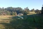 Zemljiste, Žminj, prodaja, 40000 €, 18486 m2