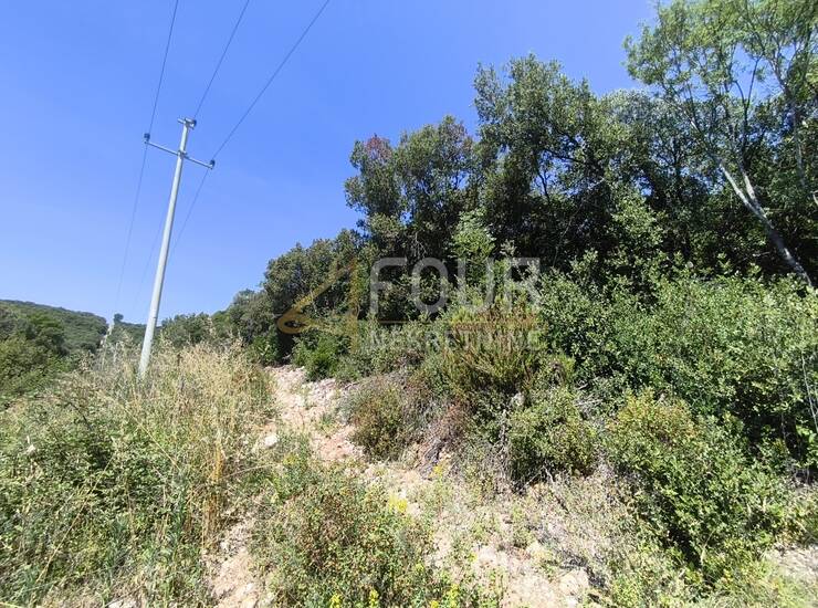 Istra, Valtura, poljoprivredno zemljište 6.834m2