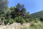 Istra, Valtura, poljoprivredno zemljište 6.834m2 — fotografija 2