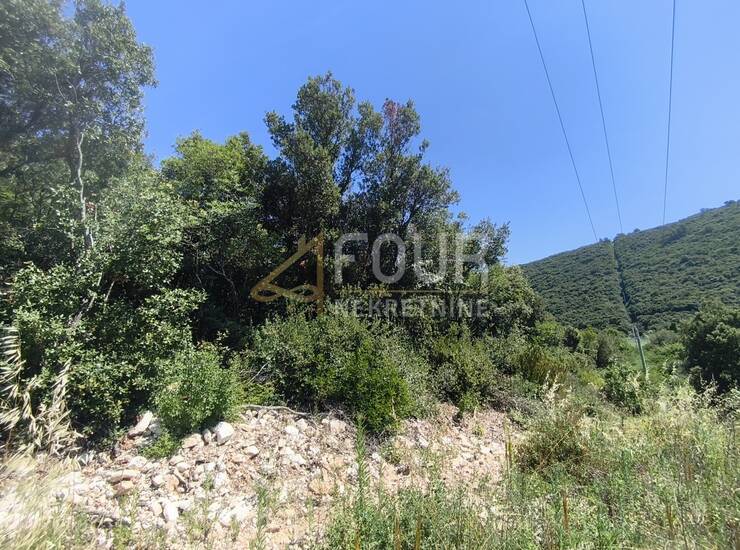 Istra, Valtura, poljoprivredno zemljište 6.834m2 — fotografija 2
