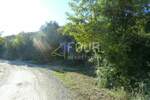 Istra, Valtura, poljoprivredno zemljište 6.834m2 — fotografija 3