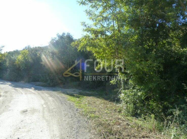 Istra, Valtura, poljoprivredno zemljište 6.834m2 — fotografija 3