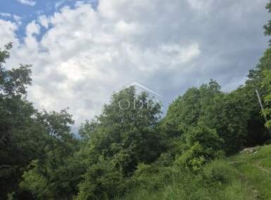 Zemljiste, Buzet, Sovinjak, prodaja, 39000 €, 1381 m2