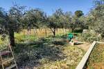 Zemljiste, Umag, prodaja, 409000 €, 3076 m2