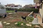 Kuca, Novigrad, prodaja, 219000 €, 127 m2